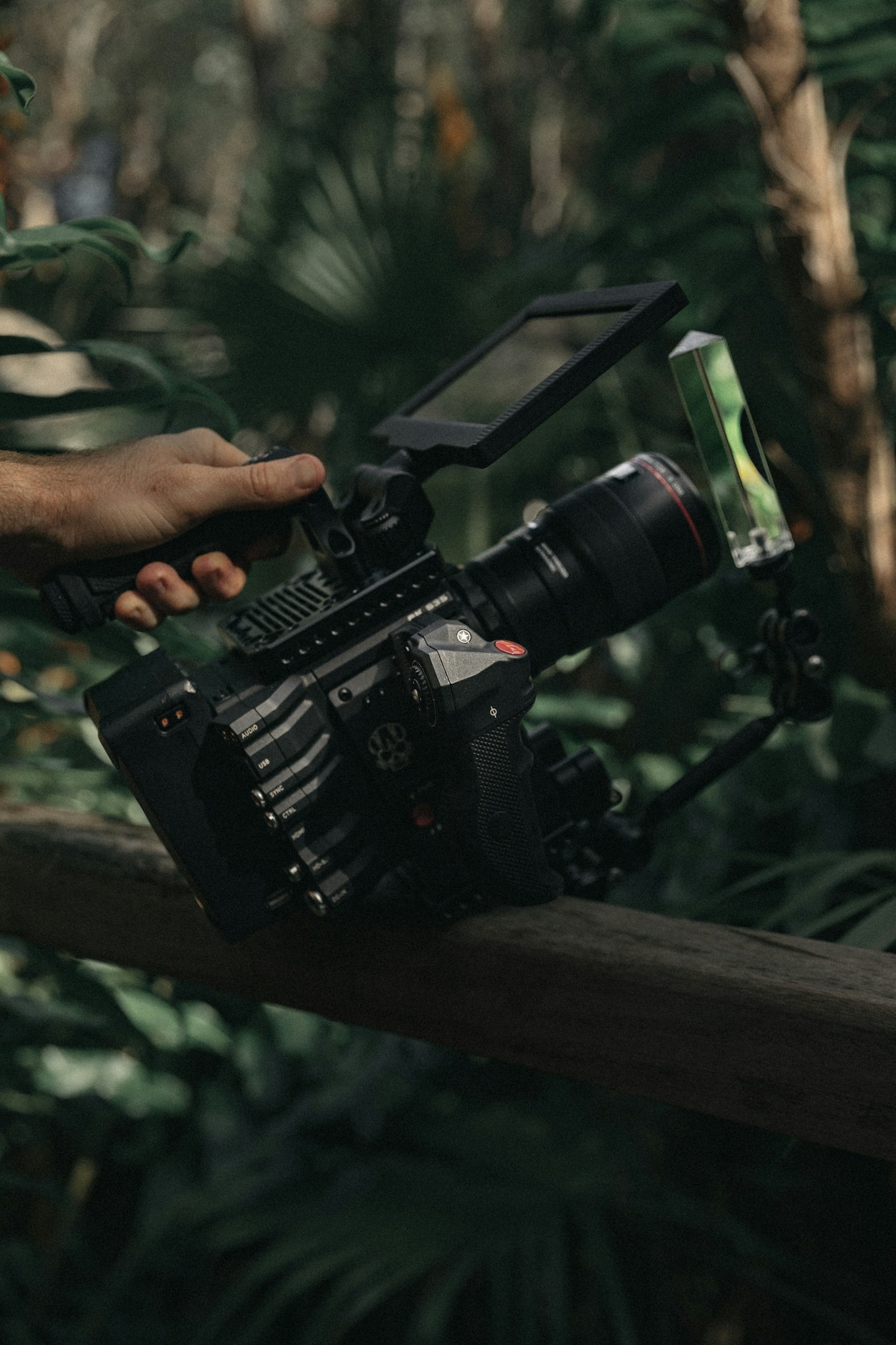 How to Find Your Favorite Clips Effortlessly